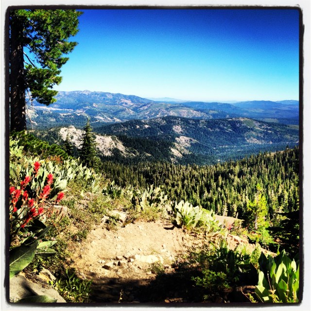 2013-08-02 09.57.59-1