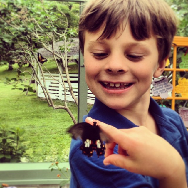 2013-08-09 12.10.46-1