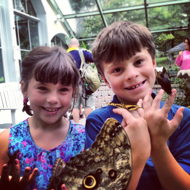 2013-08-09 12.31.27-2