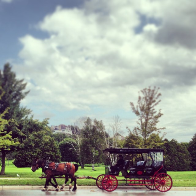 2013-08-09 13.31.19-1