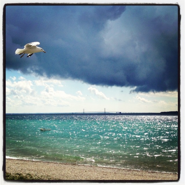 2013-08-09 15.56.41-1