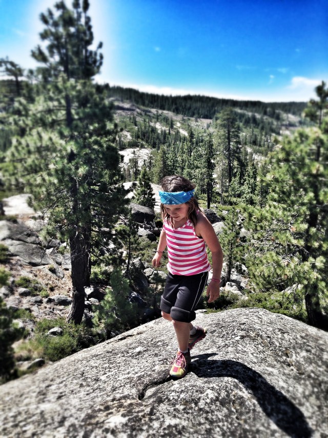 Avian hiking to the moon