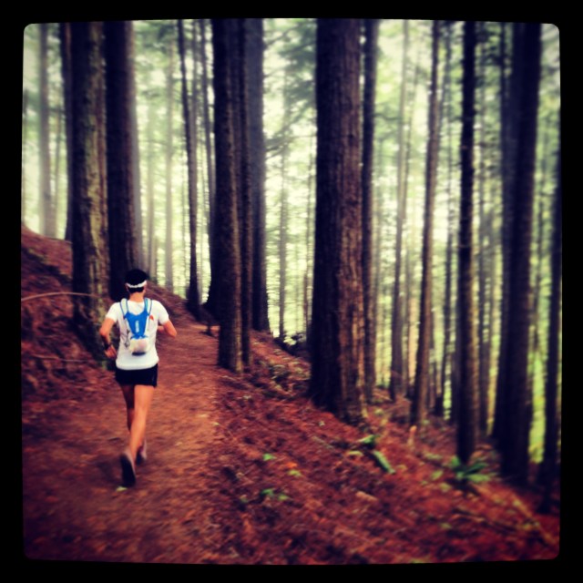 8.25.13 , f. Carrie in the redwoods