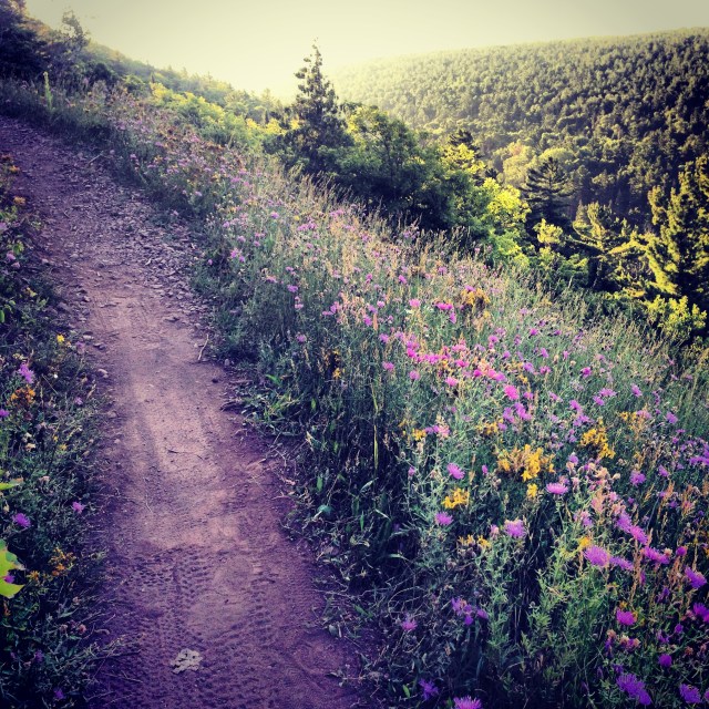 8.7.13. b. perfect soft trails