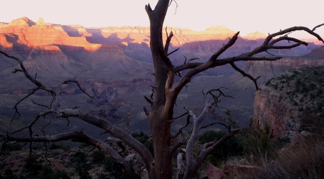 ???????????????????????????????