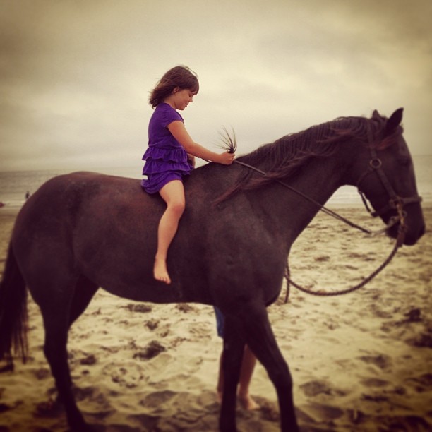 2013-09-01_1378073020