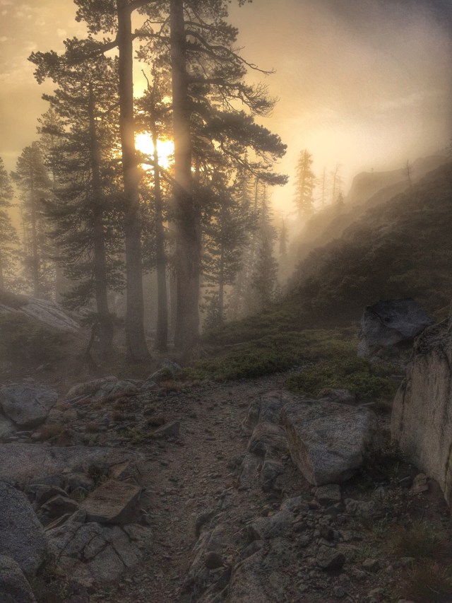 Photo May 21, 6 34 07 AM