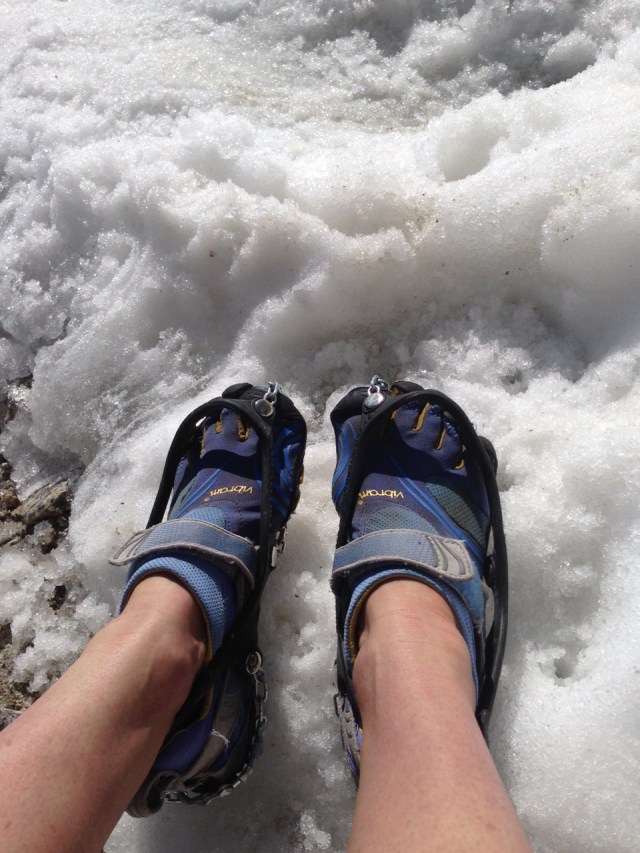 Kelly's 5 fingers with traction devices