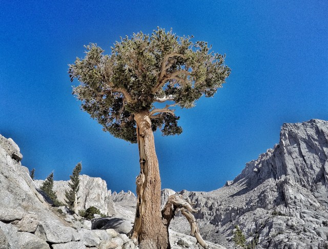 DCIM100GOPROGOPR0840.