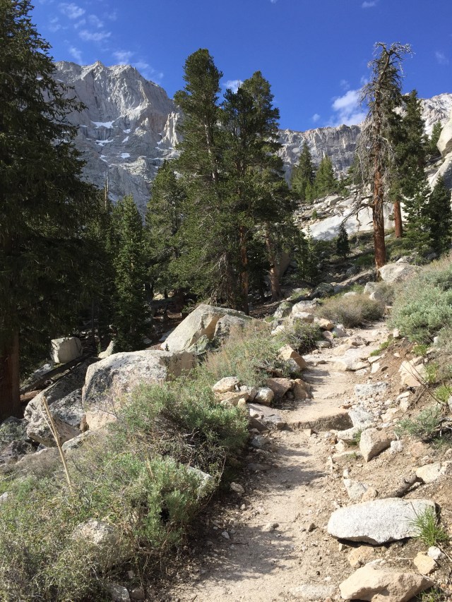 the trail was so beautiful