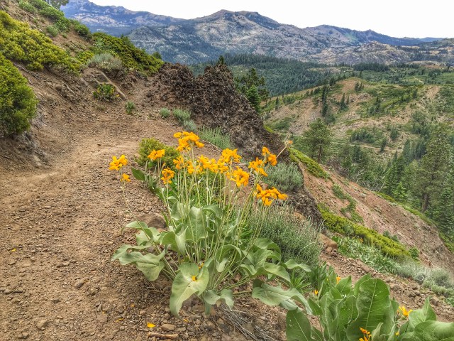 Photo Jun 28, 9 15 35 AM