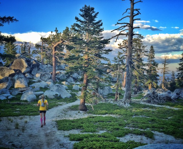 one of my favorite sections of trail in the whole world! just this 50 feet or so...