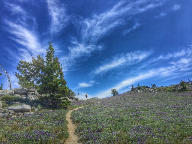 following Jeff Brown up the Snow Valley climb