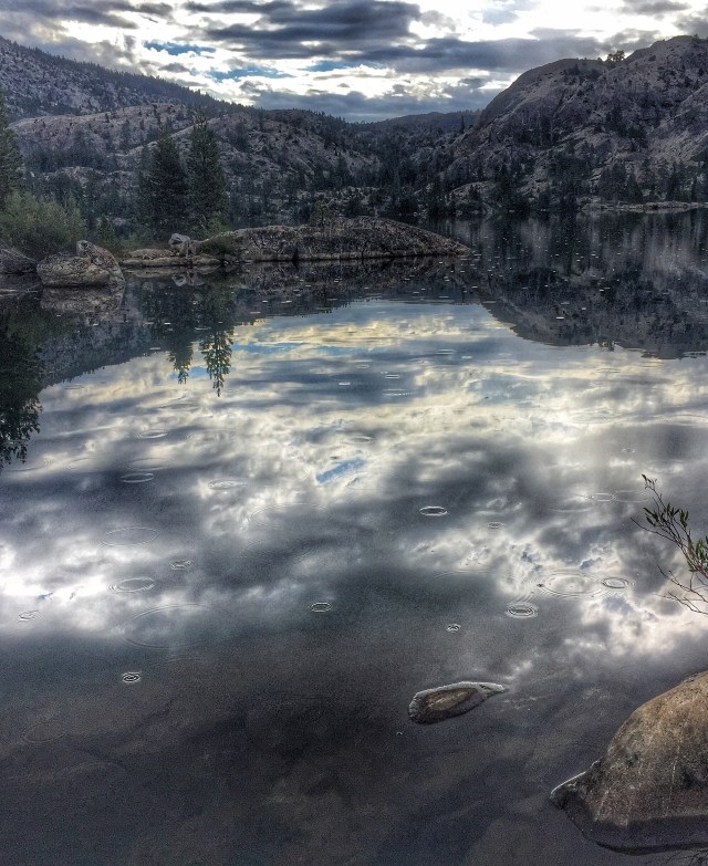 the prettiest raindrops I've ever seen