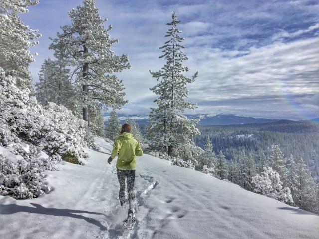 Photo Jan 30, 10 27 28 AM