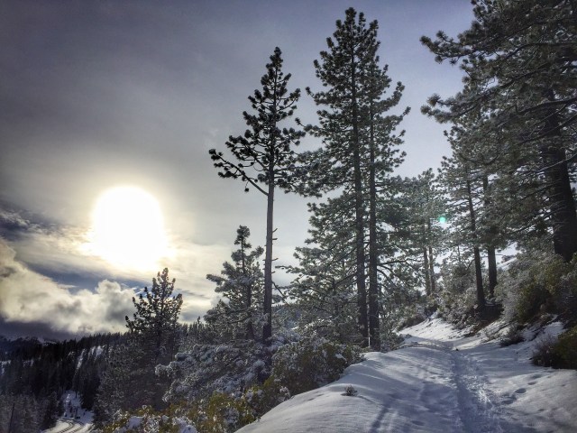 Photo Jan 30, 3 30 31 PM