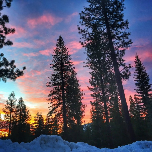 Photo Jan 20, 7 09 10 AM (1)