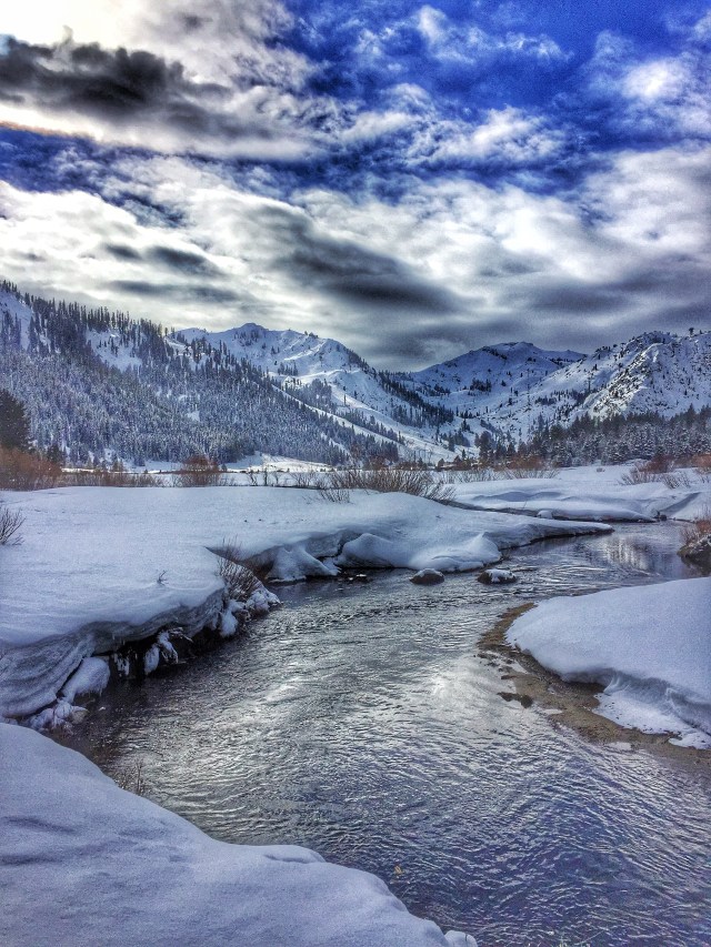 Photo Jan 24, 1 45 04 PM