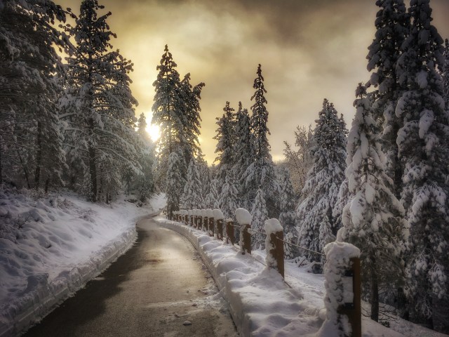 photo-jan-06-8-08-02-am