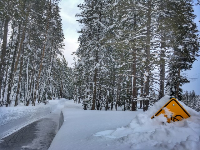 photo-jan-25-4-51-06-pm