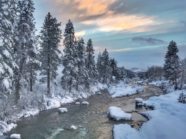 photo-jan-25-5-08-51-pm