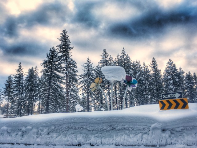 photo-jan-26-7-41-08-am