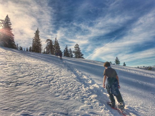 photo-jan-29-9-27-47-am