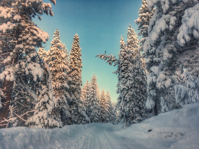 photo-feb-22-7-13-17-am