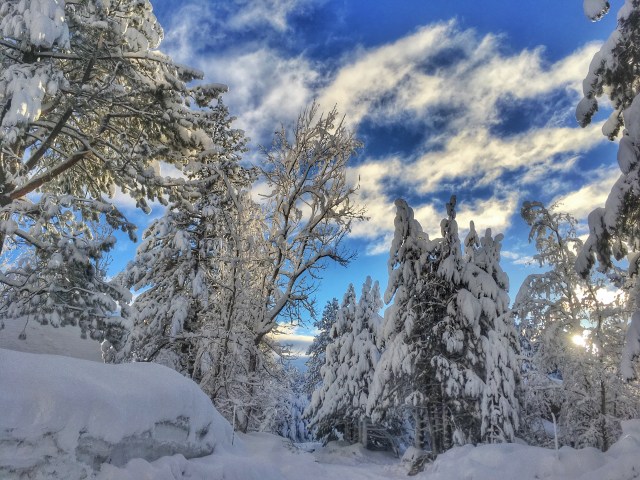 photo-feb-22-7-26-06-am