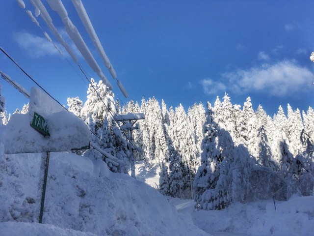 photo-feb-22-7-50-03-am