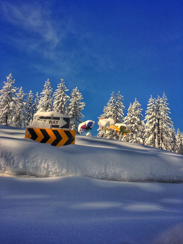 photo-feb-22-9-38-53-am