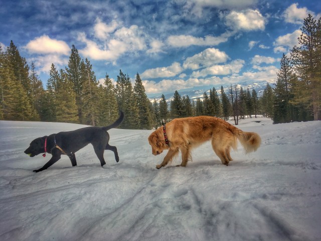 Photo Mar 04, 11 10 35 AM