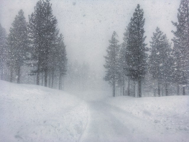 Photo Mar 05, 12 49 59 PM