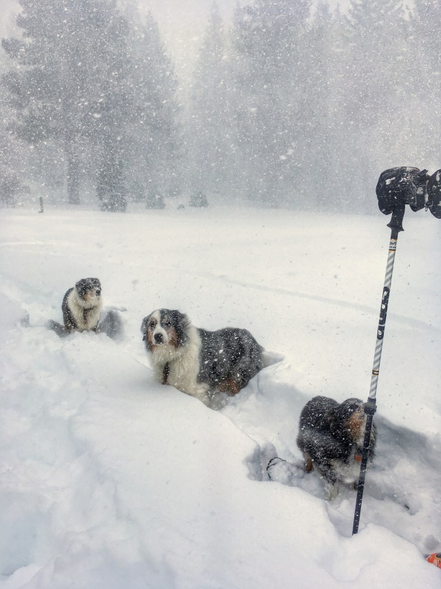 Photo Mar 05, 9 45 13 AM