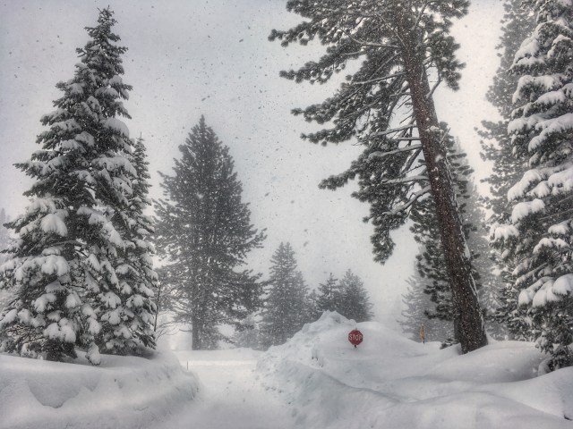 Photo Mar 05, 9 59 41 AM