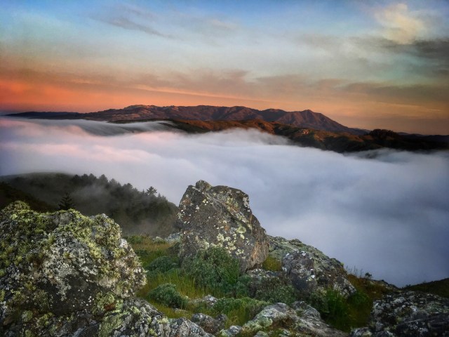 Photo Mar 11, 6 31 46 AM