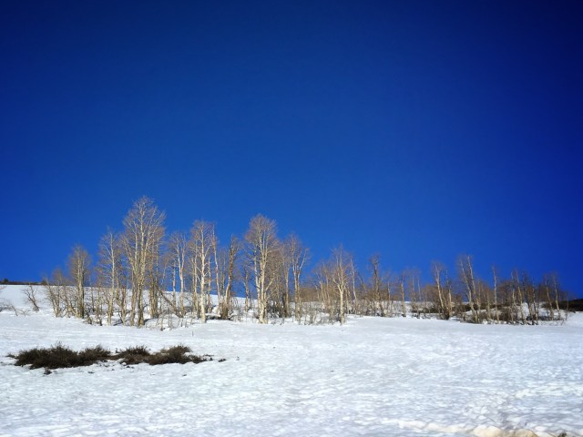 Photo May 20, 8 18 12 AM