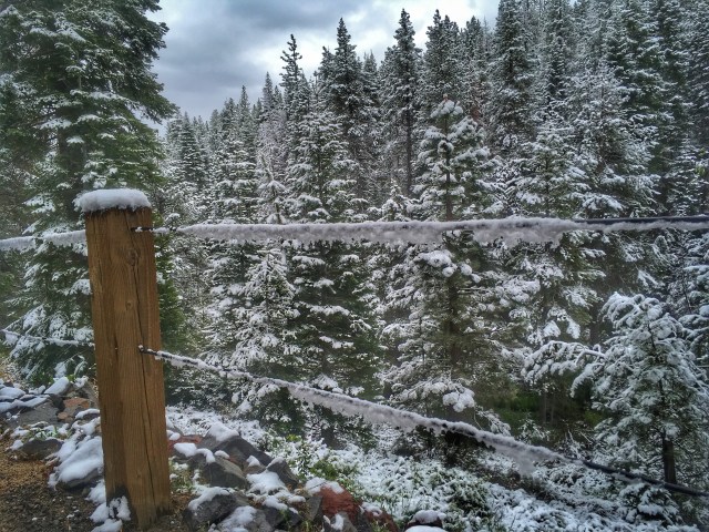 Photo Jun 12, 7 42 26 AM