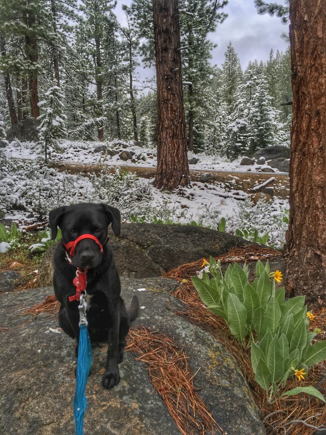 Photo Jun 12, 7 53 03 AM