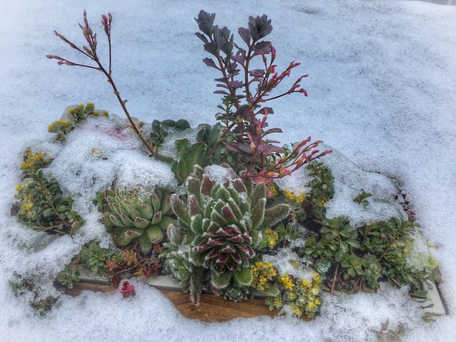 Photo Jun 12, 8 19 02 AM