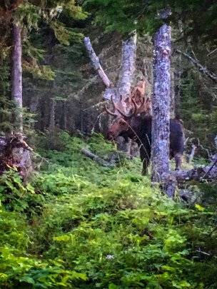 Photo Aug 12, 9 09 56 PM