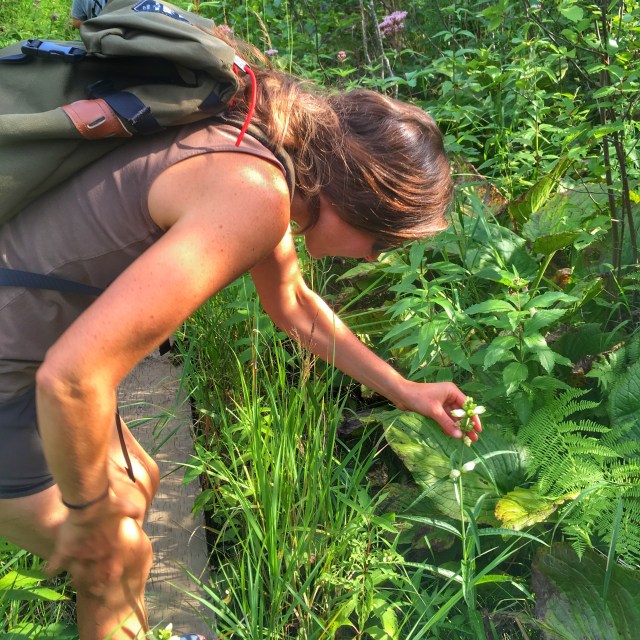 Photo Aug 13, 2 40 16 PM