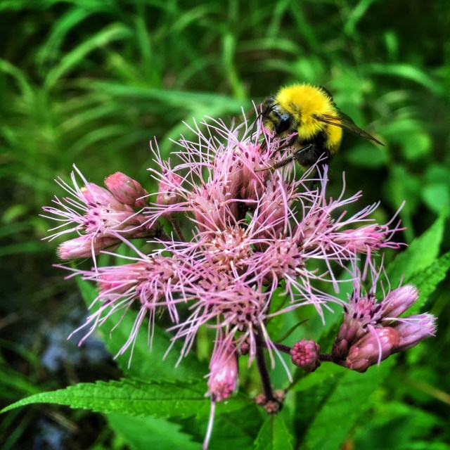 Photo Aug 13, 2 48 16 PM