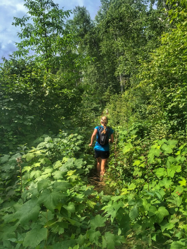 Photo Aug 14, 11 39 58 AM