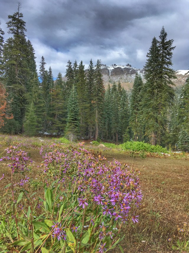 Photo Sep 22, 3 47 22 PM