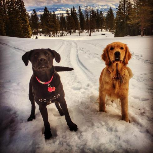 17157853_10211124775888840_6298702003456369309_o