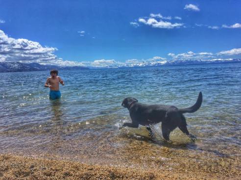 17757210_10211397640430283_4798129315087604398_n