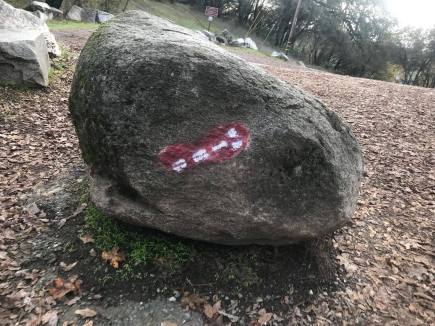 24826246_1200419206757448_1041500395_o