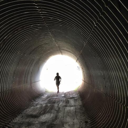 15267848_10210253186019638_7994975291707864489_n