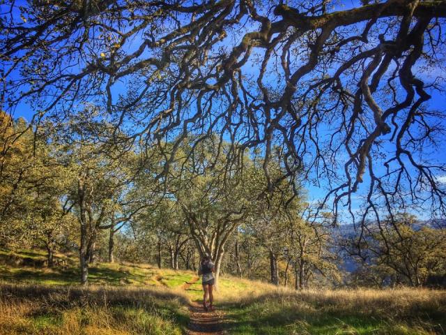 15268031_10210253186299645_3059028464480817802_n